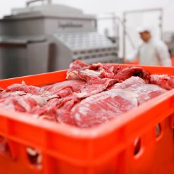 INTUITY METAL DETECTOR