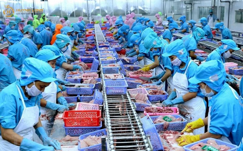 CCP là gì? Các CCP trọng yếu trong sản xuất thực phẩm 9 Hướng dẫn cách giám sát CCP