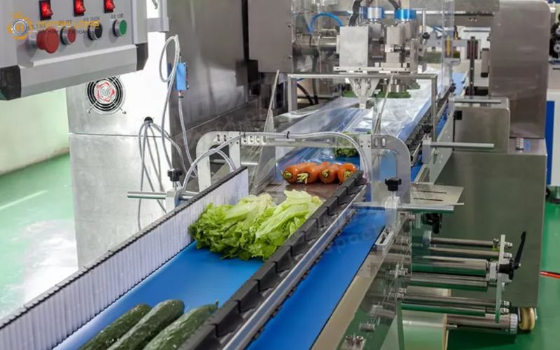 Các yếu tố cần xem xét khi đầu tư máy đóng gói tự động 6 Hướng dẫn cách chọn đơn vị cung cấp máy đóng gói tự động uy tín